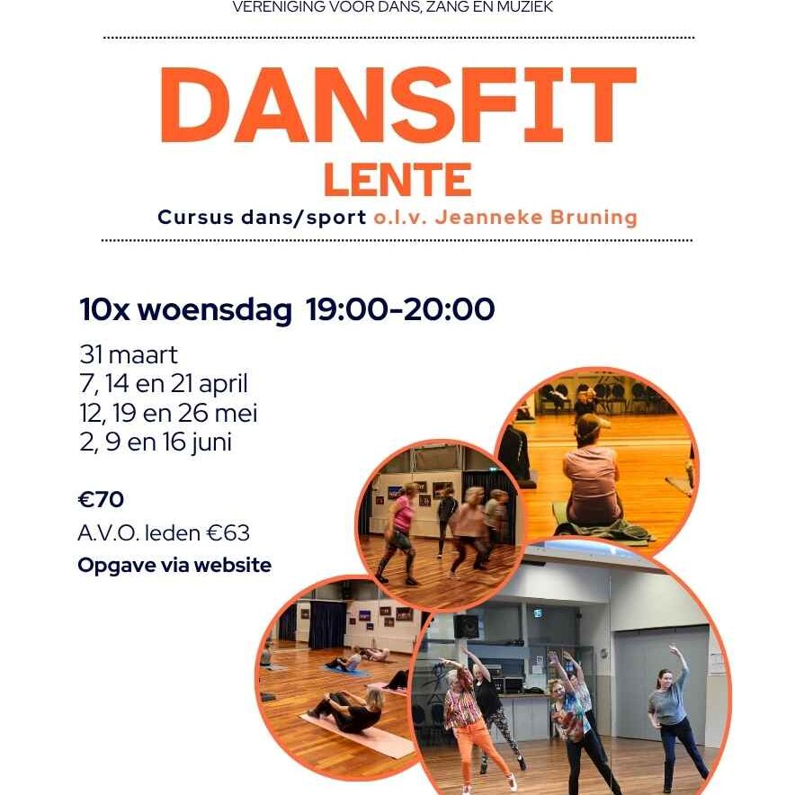 dansfitl